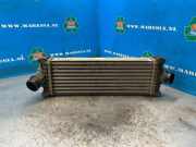 Ladeluftkühler Ford Transit V363 Kasten FCD, FDD GK216K775AE