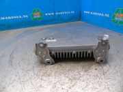 Steuergerät Servolenkung Lexus LS 4 F4 G925050030