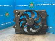 Elektrolüfter Dacia Logan MCV II 214818009R