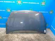 Motorhaube Citroen Berlingo II Multispace B9 7901P7