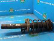 Federbein links vorne Skoda Octavia II Kombi 1Z 1T0413031DP