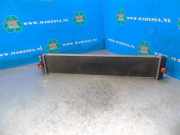 Kühler Toyota RAV 4 V A5, H5 1640025130