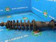 Federbein links hinten Lexus IS 1 E1 341263