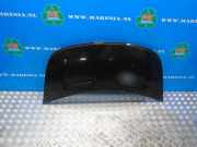 Motorhaube Smart Forfour 454