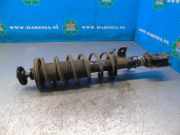 Federbein links vorne Nissan Micra V K14