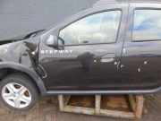 Tür links vorne Dacia Sandero II SD 801012479R