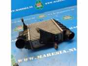 Ladeluftkühler Skoda Fabia II 542 6Q0145804A