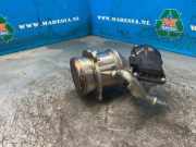 AGR-Ventil Renault Kangoo III Rapid 147100361R