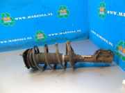Federbein links vorne Kia Rio II JB