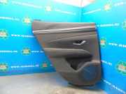 Türverkleidung links hinten Hyundai Tucson IV NX4A, NX4E