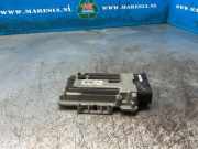 Steuergerät Automatikgetriebe Hyundai Santa Fe II CM 954403B732