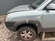 Kotflügel links vorne Hyundai Tucson I JM 663112E120