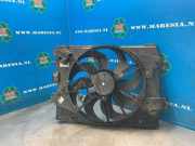 Elektrolüfter Dacia Lodgy JS 214818665R