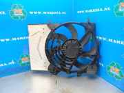 Elektrolüfter Peugeot 208 I CA, CC 9801666680