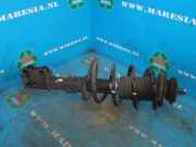 Federbein rechts vorne Chevrolet Aveo Schrägheck T200, T250 96980827