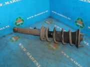 Federbein links vorne Lexus IS 1 Sportcross E1 4851053080