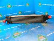 Ladeluftkühler Ford Focus C-Max C214 3M5H9L440AE