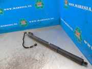 Heckklappendämpfer rechts Audi Q3 F3B 5QF513049BL