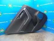 Türverkleidung links hinten Toyota RAV 4 V A5, H5 67614X1B18
