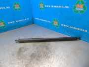 Heckklappendämpfer rechts Tesla Model Y 5YJY 150060200A