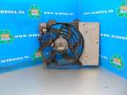 Elektrolüfter Peugeot 2008 I 1610781580