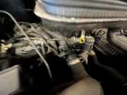 Motor ohne Anbauteile (Diesel) Peugeot Expert II Kasten VF