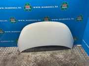 Motorhaube Hyundai i10 PA