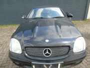 Motorhaube Mercedes-Benz SLK R170 A170880095728