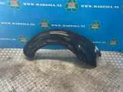 Seitenwand links hinten VW New Beetle Cabriolet 1Y