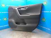 Türverkleidung rechts vorne Toyota RAV 4 V A5, H5 67611X1B32
