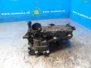 Verteilerrohr Kraftstoff Nissan Juke F16 140035727R