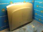 Motorhaube Land Rover Discovery II L318