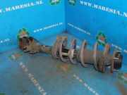 Federbein links hinten Daewoo Lacetti Schrägheck KLAN 96407821L