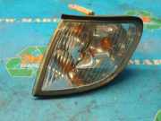 Blinker links Hyundai H-1 Kasten H-1