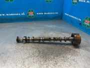 Nockenwelle Hyundai iX35 LM 243702B610