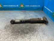 Stoßdämpfer rechts hinten Opel Corsa F P2JO 9837466880