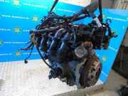 Motor ohne Anbauteile (Benzin) Ford EcoSport CN1G6006AA