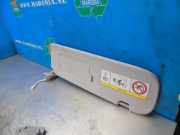 Sonnenblende rechts Tesla Model Y 5YJY