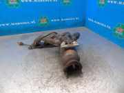 Katalysator ohne Lambdasonde Seat Ibiza IV ST 6J 036131703J