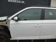Tür links vorne Skoda Fabia III Kombi NJ 6V0831051A