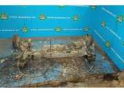 Hinterachse komplett Dacia Dokker Express Kasten/Großraumlimousine