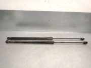 Gasdruckfedern Set Hinten 904521998R Dacia Duster (SR) SUV 1.0 TCE 12V LPG (H4D-470(H4D-E4))