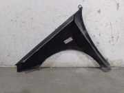 Kotflügel Rechts Vorne A1698800718 Mercedes-Benz CLASE B Sports Tourer (W245) B 180 CDI (245.207)