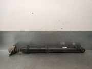 Stoßdämpfer Rechts Hinten 5206EK Citroën C4 Coupé (LA) Schrägheck 3-drs 1.6 HDi 16V (DV6ATED4(9HX))