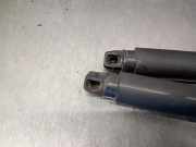 Gasdruckfedern Set Hinten 51247340976 BMW 3 serie Touring (F31) Kombi 330d xDrive 3.0 24V (N57-D30A)