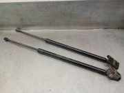 Gasdruckfedern Set Hinten A6399800164 Mercedes-Benz / MIXTO Furgoneta (W639) 111 CDI (639.601, 639.603)