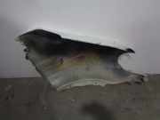 Kotfl?gel Links Vorne 4501755 Opel Movano (4A1; 4A2; 4B2; 4B3; 4C2; 4C3) Van 1.9 DTI (F9Q-770)