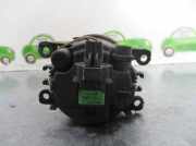 Nebelscheinwerfer Links Vorne Renault II CLASSIC BERLINA Confort Dynamique