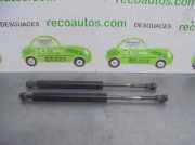 Gasdruckfedern Set Hinten 1S71F406A10AB Ford Mondeo III Limousine 2.0 TDCi/TDDi 115 16V (D6BA)