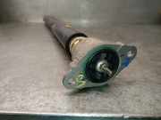 Stoßdämpfer Links Hinten FN1C18080AB Ford EcoSport (JK8) SUV 1.5 TDCi EcoBlue (XVJD)